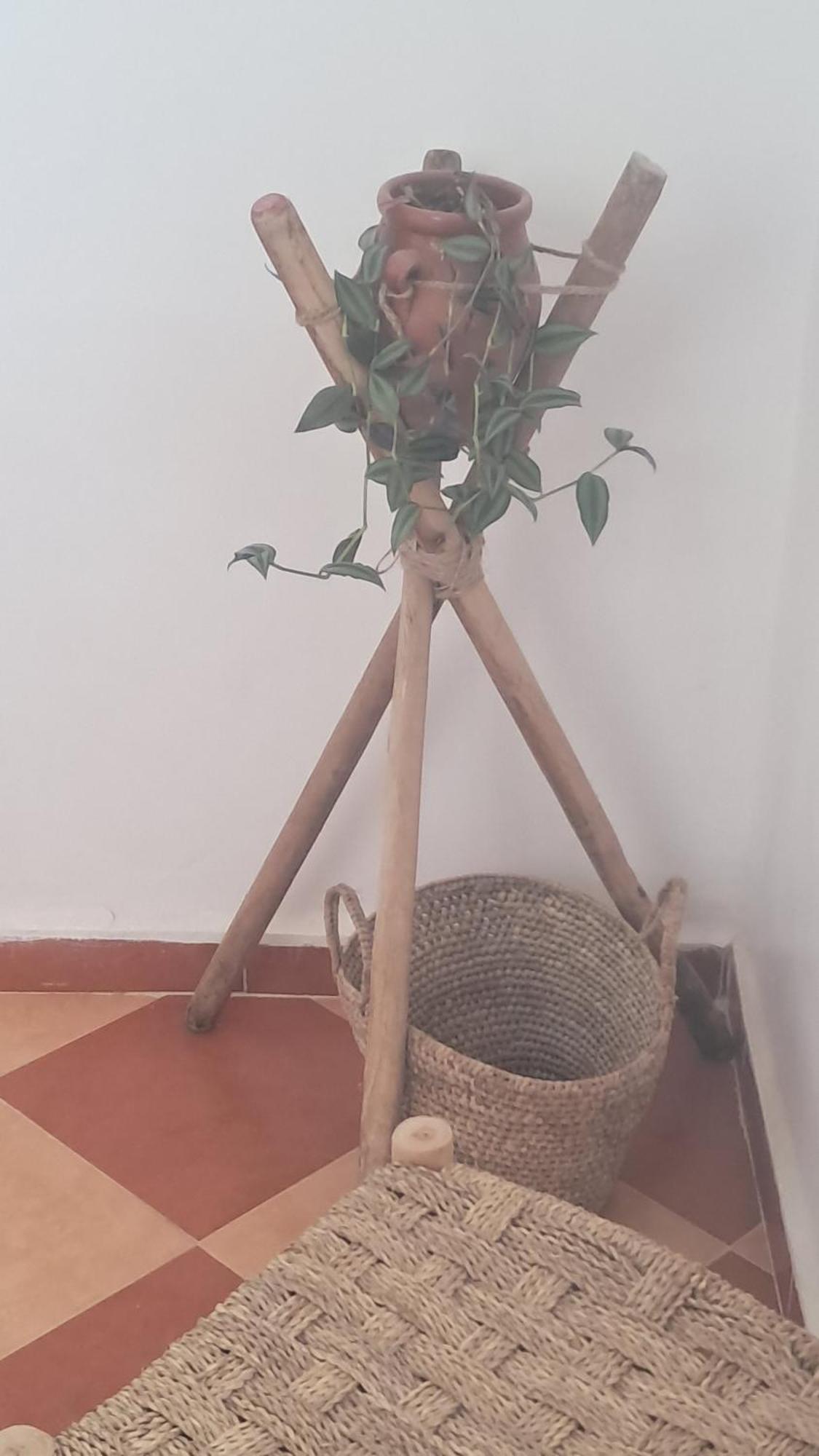 Buena Vista Morroco Guest House Tamraght Εξωτερικό φωτογραφία