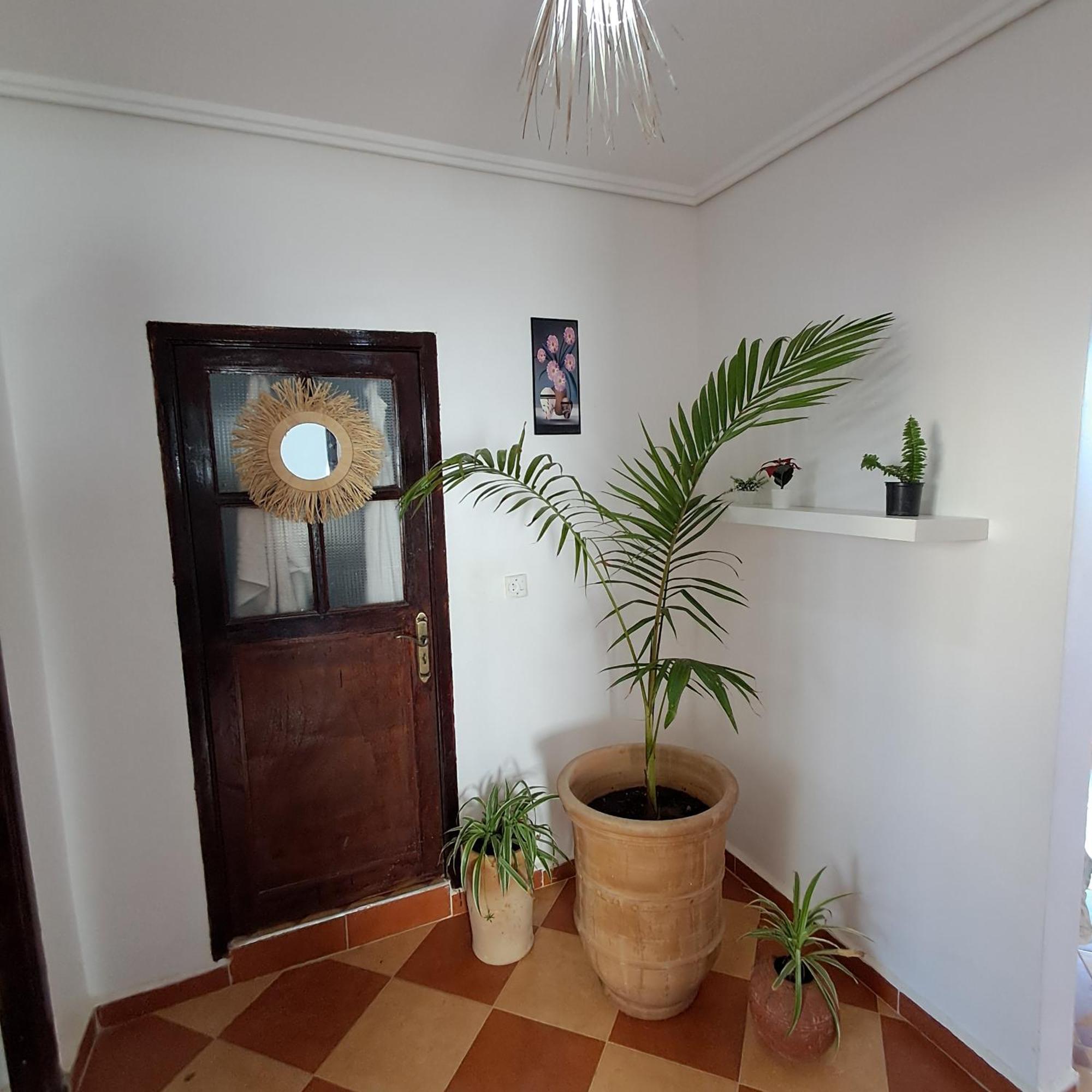 Buena Vista Morroco Guest House Tamraght Δωμάτιο φωτογραφία